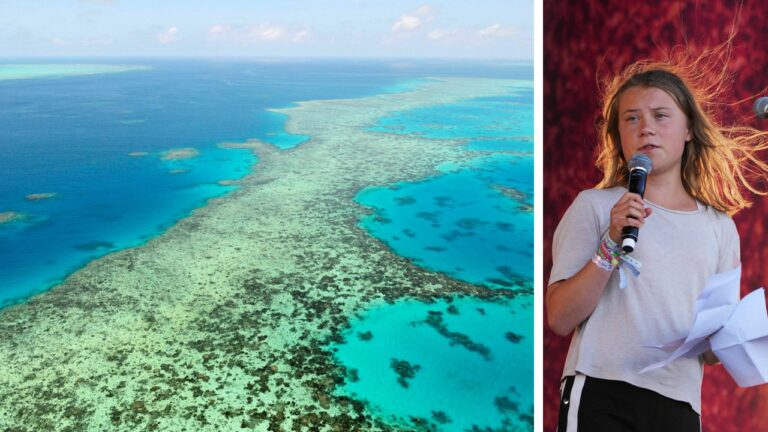 Die Schulverweigerin und Klimastreikende Greta Thunberg behauptete, die Korallen im Great Barrier Reef hätten sich halbiert. Jetzt kommt heraus, sie haben sich vermehrt wie noch nie.