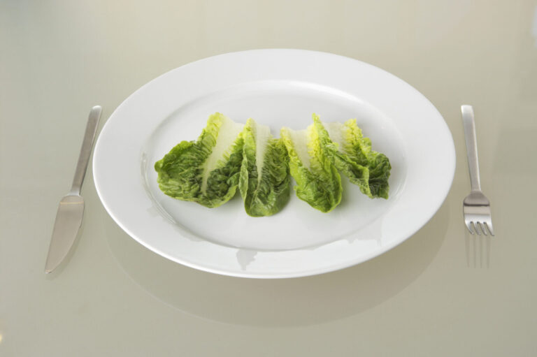Ein weißer Teller mit Salatblättern und Besteck. In Freiburg wird ab dem kommenden Schuljahr in Kitas und Grundschulen vollständig auf Fleisch verzichtet.