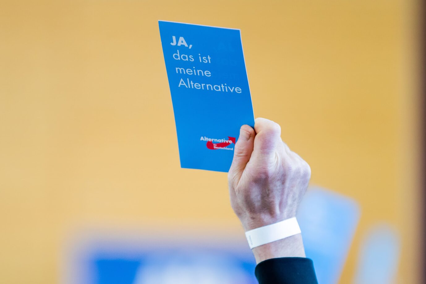 Eine Stimmkarte wird beim Landesparteitag der AfD-Brandenburg in die Höhe gehalten. Auf der Tagesordnung steht die Neuwahl des Vorstands. In Umfragen führt die Partei in Brandenburg.