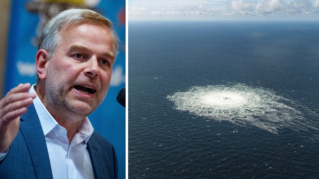 AfD-Fraktionsvize Leif-Erik Holm hat die Bundesregierung nach dem Zustand der Ostsee-Pipeline Nord Stream 2 gefragt.