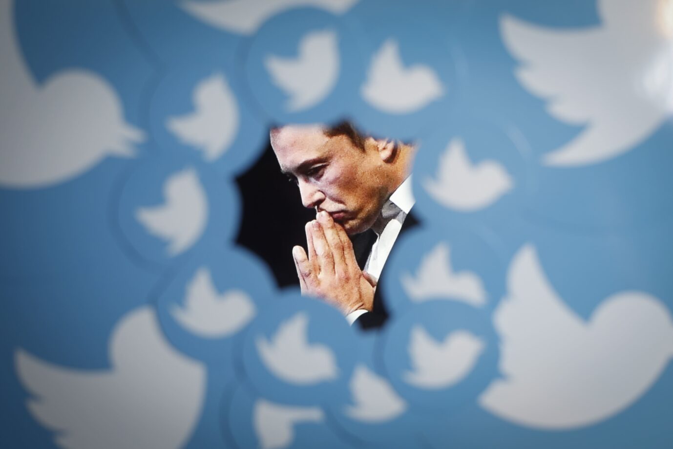 Elon Musk, Streiter für die Meinungsfreiheit, vor einem Twitter Bildschirm