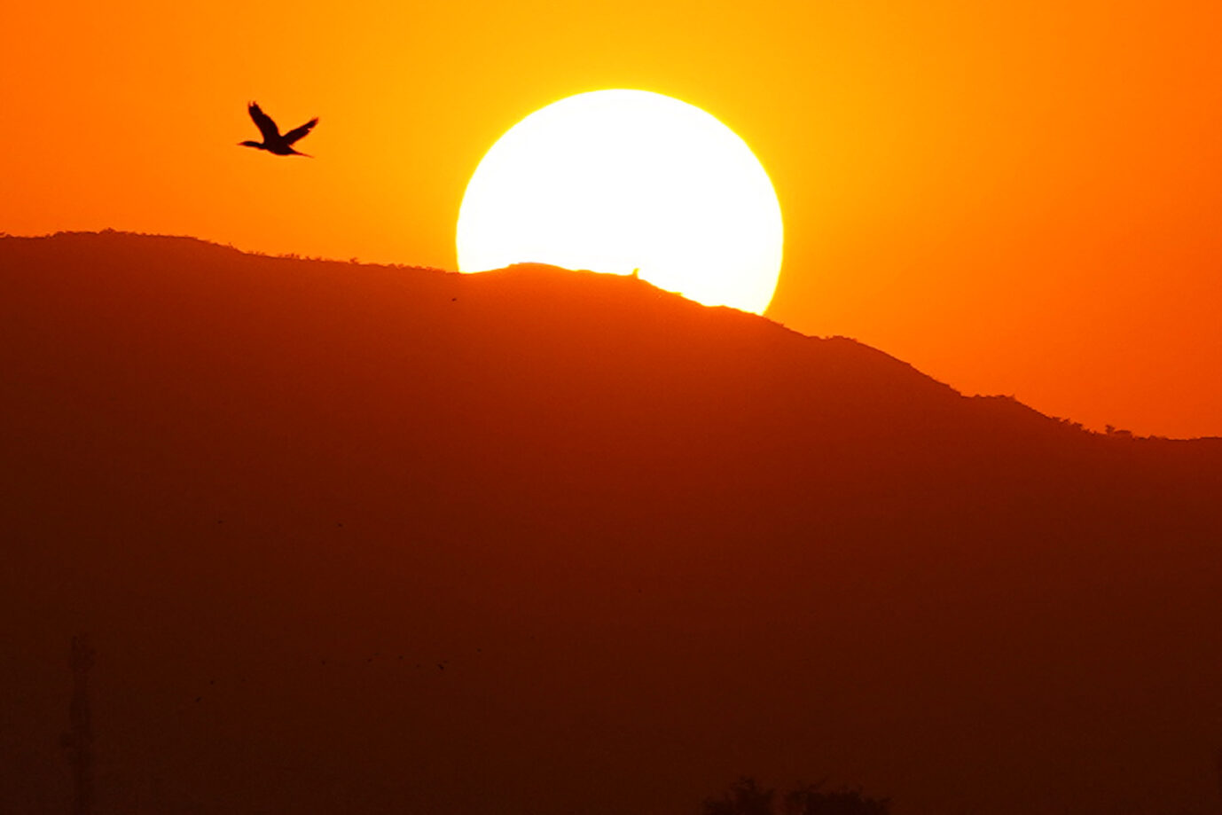 Das Bild zeigt einen Sonnenaufgang.