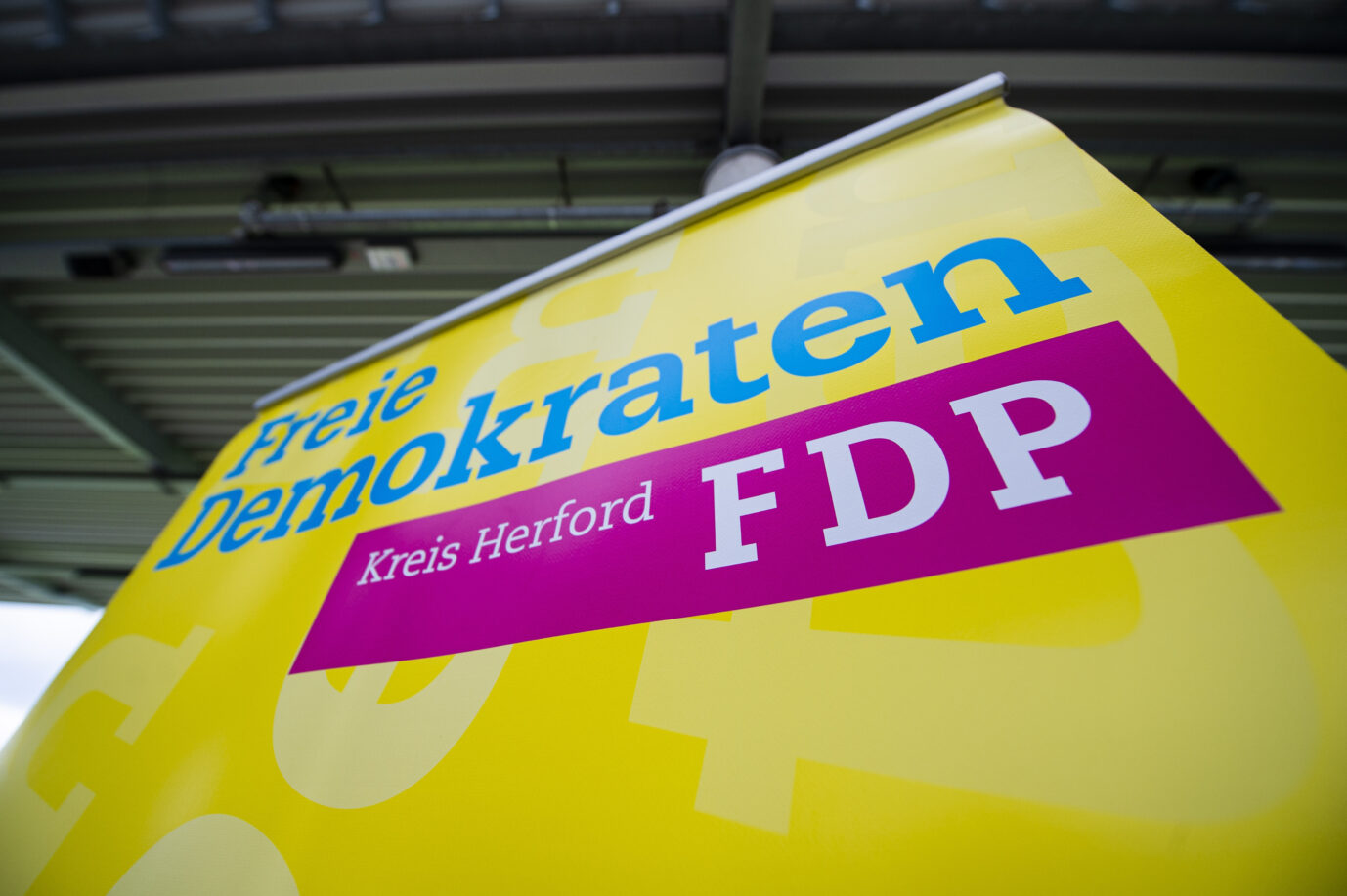 Logo der FDP Herford.