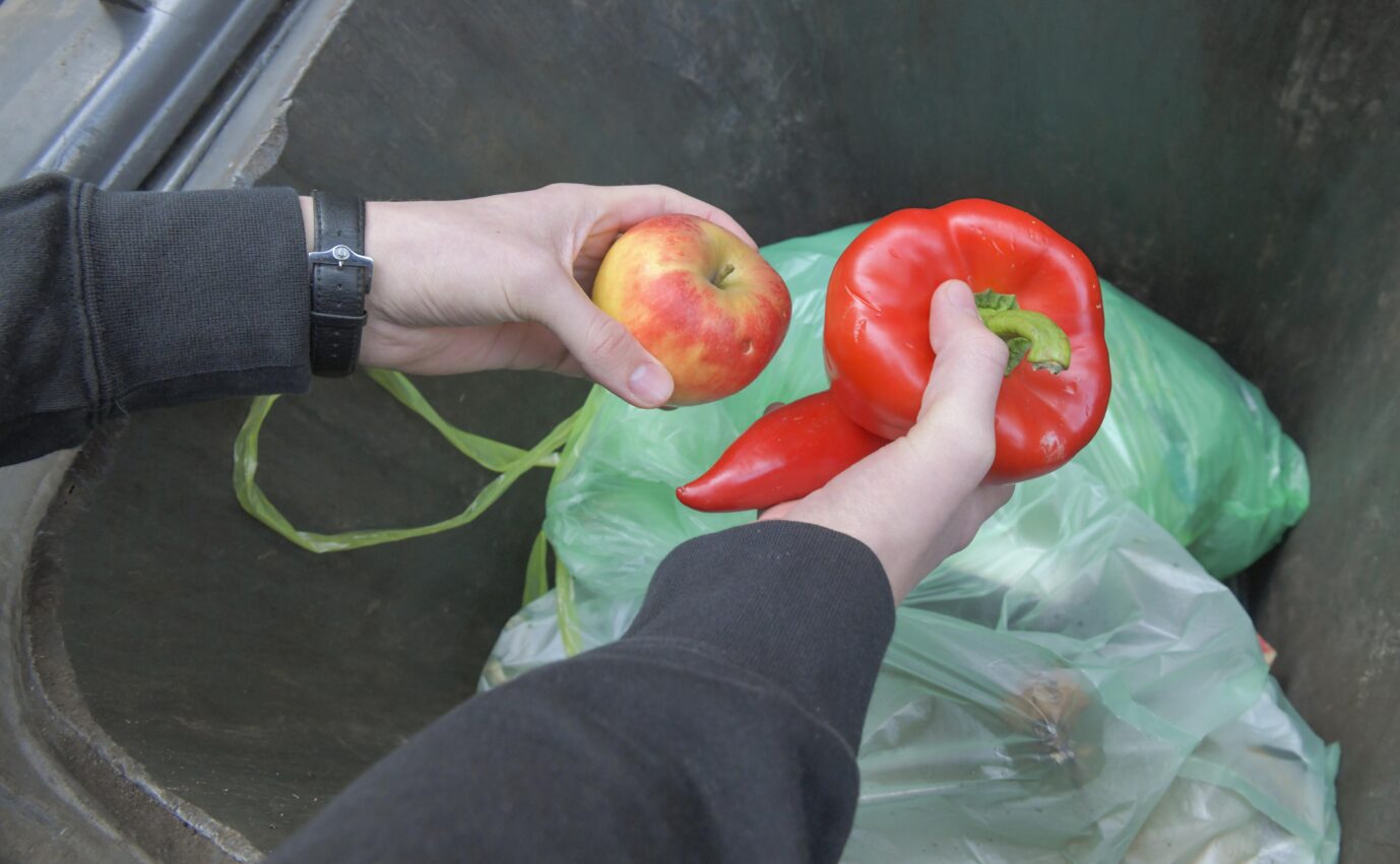Ein Mann holt noch genießbare Lebensmittel aus einer Mülltonne: Cem Özdemir möchte das sogenannte Containern legalisieren