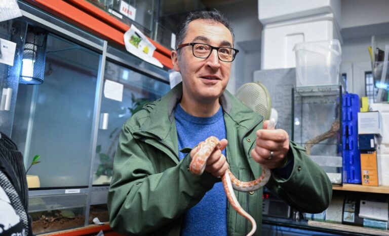 Bundeslandwirtschaftsminister Cem Özdemir (Grüne) mit einer Kornnatter. Schlangen will er als Haustiere wohl nicht mehr erlauben.