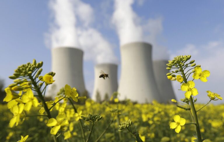 Das Bild zeigt ein Kernkraftwerk in Tschechien hinter einer Blumenwiese.