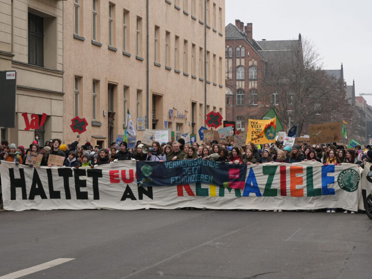Das Foto zeigt eine Klima-Demo in Berlin. FFF-Ikone Luisa Neubauer geriet zuletzt in Kritik wegen ihrer Äußerungen über die Demokratie.