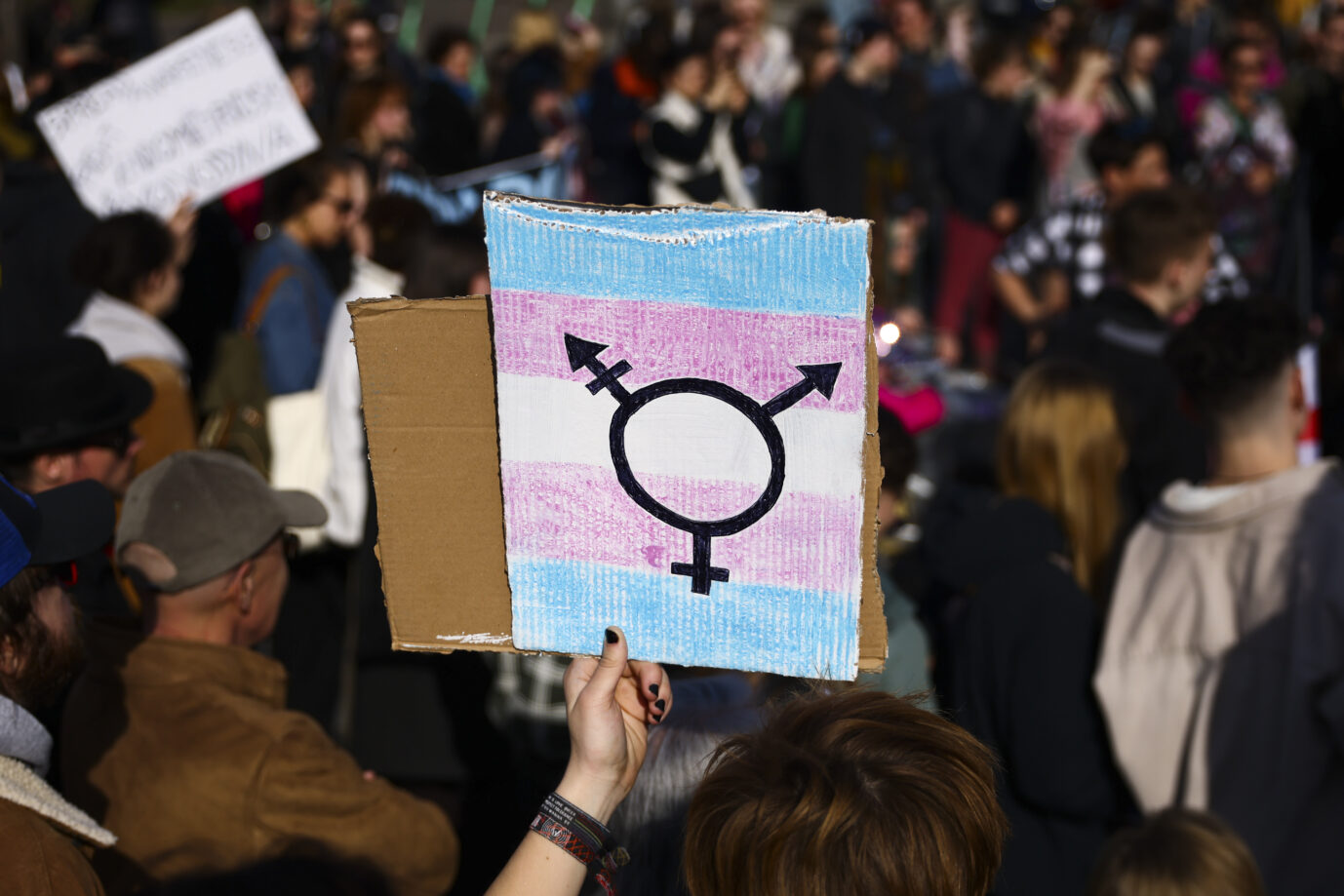 LGBTQ-Demo-Schild mit Transgender-Flagge: Transsexuelle fühlen sich im falschen Körper