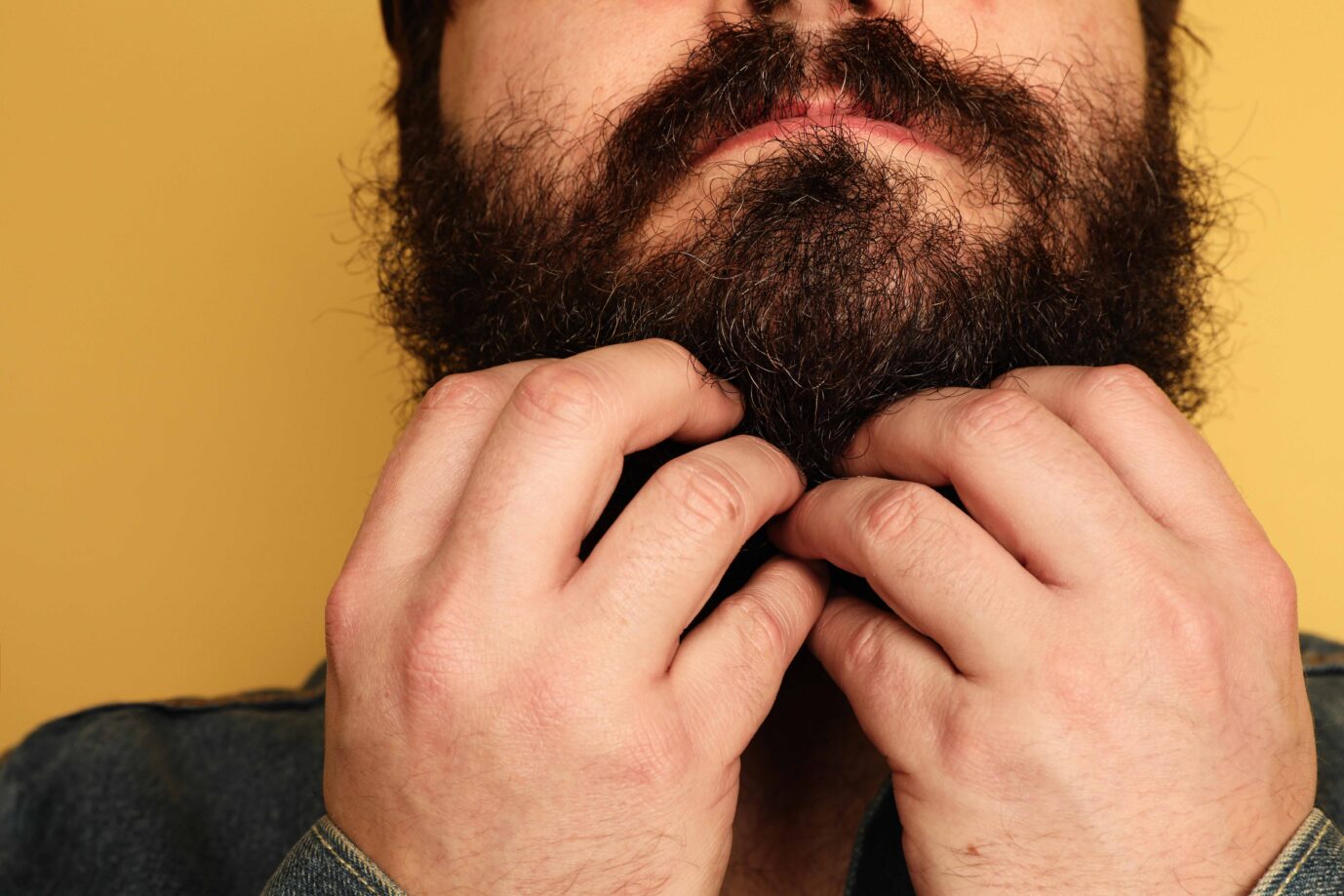 Der Bart ist bekanntlich der ganze Stolz eines Mannes – in Berlin ist nun ein transsexueller Beamter mit dem Versuch gescheitert, sich die Amputation seiner Haarpracht von seinem Dienstherrn finanzieren zu lassen