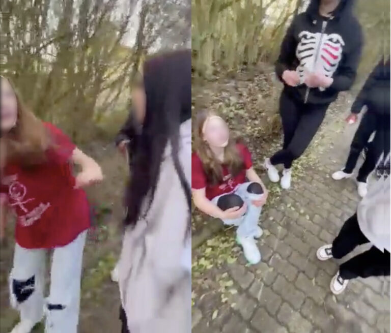 Ausschnitte aus dem Tatvideo. Die Täter bedrohen und schlagen das dreizehnjährige Mädchen. Die Tat geschah in Heide in Schleswig-Holstein