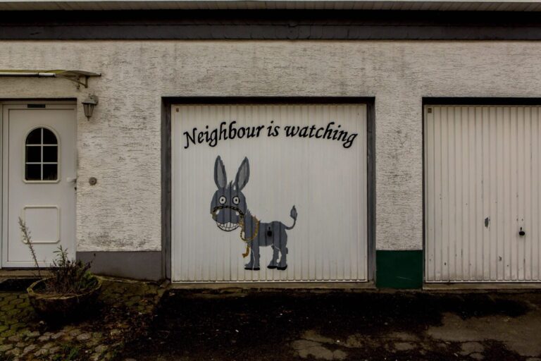 Malerei auf einer Garage in Nordrhein-Westfalen: Deutsche sollen ihre Mitbürger bei Meldestellen verpetzen
