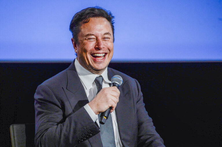 Tesla-Boss Elon Musk: Er ist linken EU-Politikern ein Dorn im Auge.