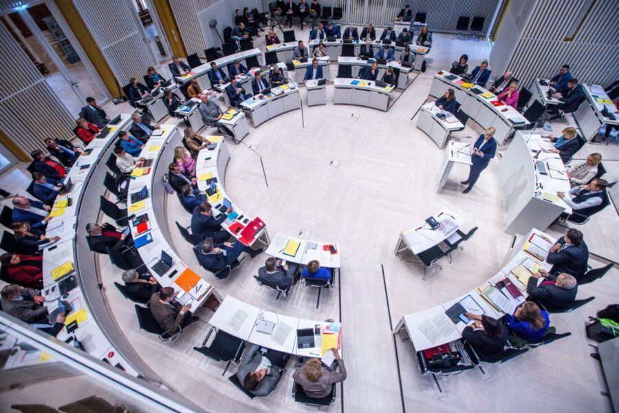 MecklenburgVorpommern AfDFraktion verliert