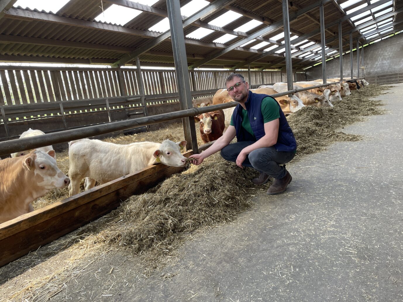 Das Bild zeigt Hofbesitzer Christoph Schulz in einem seiner Rinderställe: Die Lage der deutschen Bauern ist besorgniserregend.