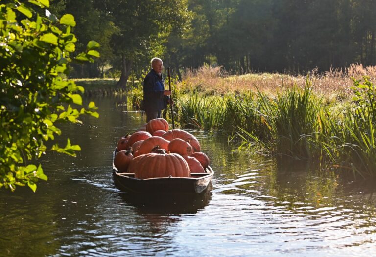 Drohende Öko-Katastrophe: Der wildromantische Spreewald könnte nach dem Kohleausstieg austrocknen.