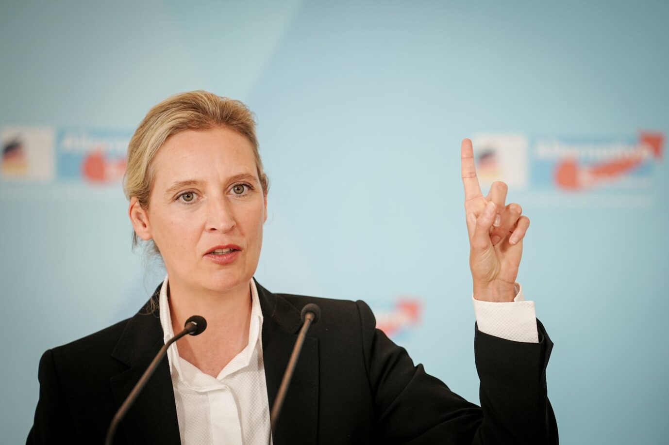 Afd-Chefin Alice Weidel will einen Kanzlerkandidaten aufstellen.