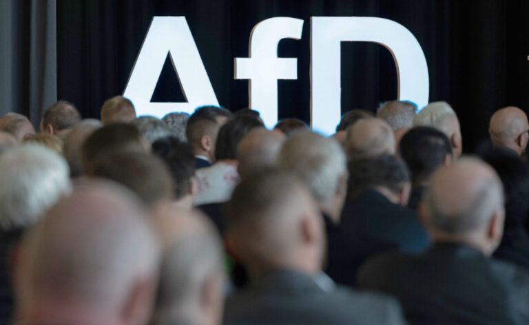 Mit seiner Verbotsempfehlung hat das Institut für Menschenrechte der AfD den Fehdehandschuh hingeworfen Foto: picture alliance/dpa | Hendrik Schmidt