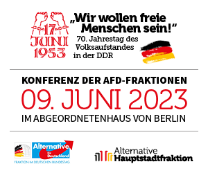 AfD, Abgeordnetenhaus, 17. Juni 1953