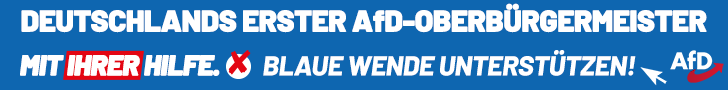 Leif Erik Holm, Bürgermeister, Stichwahl Schwerin