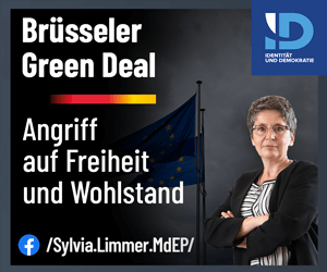 Sylvia Limmer, Gebäudeeffizienz-Richtlinie, Heizungshammer