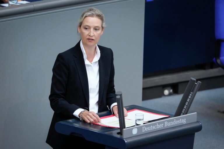 Wettbewerb, europäisch: Alice Weidel im Bundestag