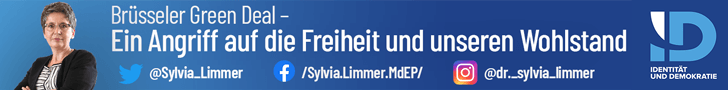 Sylvia Limmer, Gebäudeeffizienz-Richtlinie, Heizungshammer