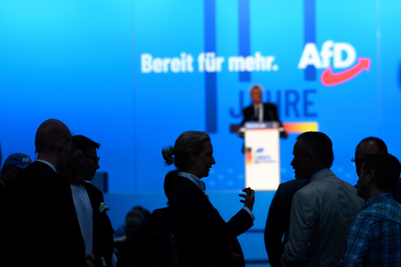 Die AfD komplettiert ihre Wahlliste für die Europa-Wahl auf ihrem Parteitag in Magdeburg.