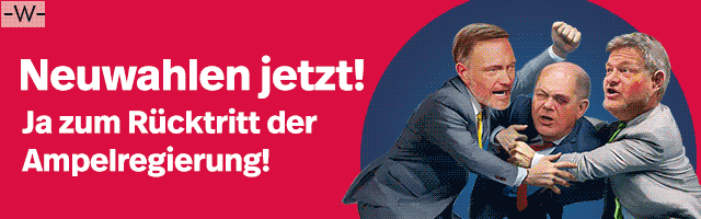 Petition für Demokratie, Neuwahlen, Rücktritt