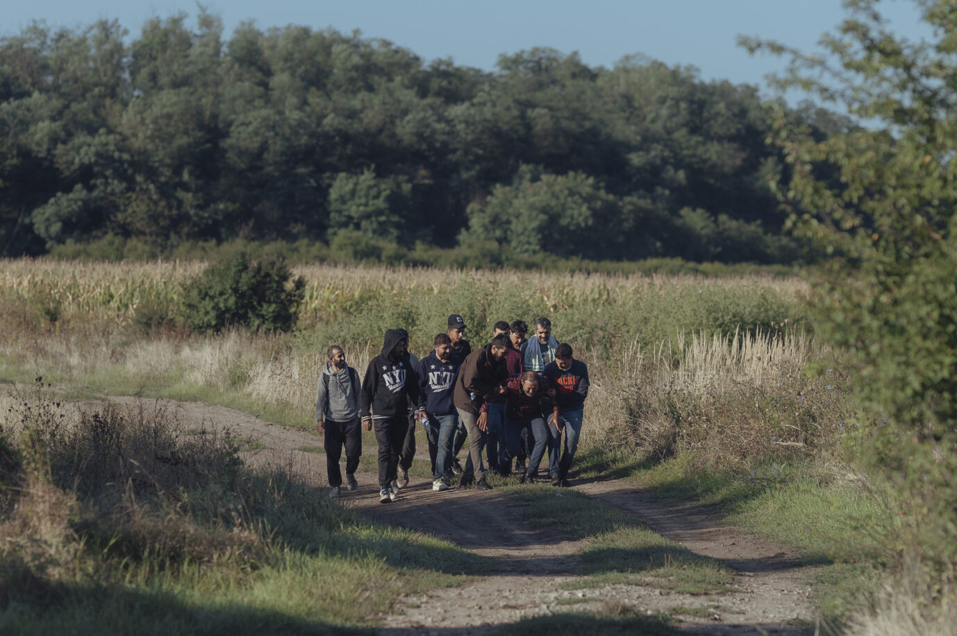 Illegale Migranten überqueren die slowakisch-ungarische Grenze im September 2023 Foto: picture alliance/dpa I Robert Nemeti Die Asylzahlen steigen.