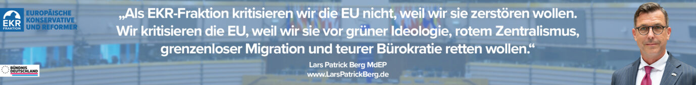 Lars Patrick Berg, Bündnis Deutschland, Migration