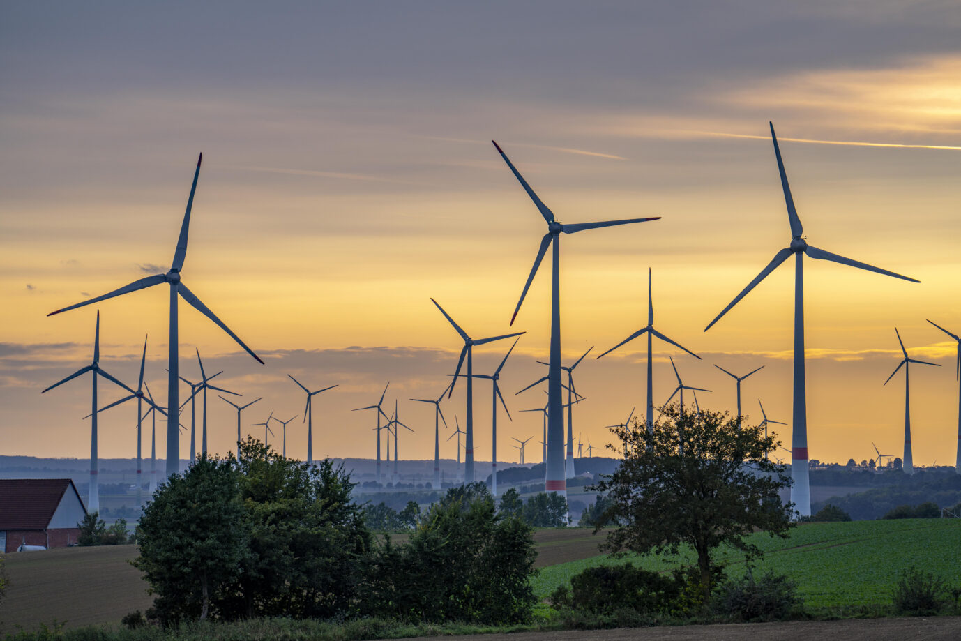 Windkraftanlage, hier bei Paderborn: Umweltzerstörung im Namen des Umweltschutzes und der Energiewende geht weiter.