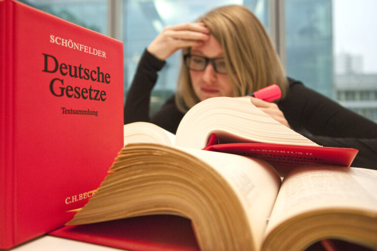 Der Gesetzentwurf zur Finanzierung politischer Stiftungen wirkt wie von Jurastudenten verfaßt (Symbolbild).