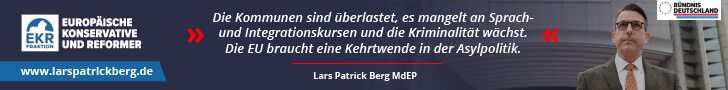 Lars Patrick Berg, Bündnis Deutschland, Migration