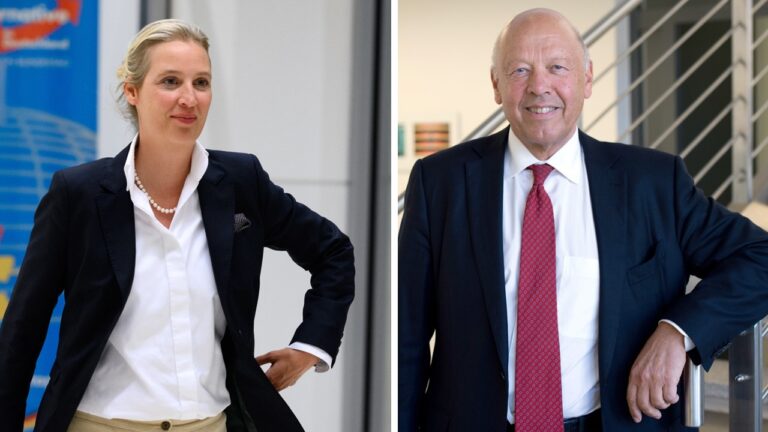Im regelmäßigen Austausch: AfD-Chefin Alice Weidel und Molkerei-Unternehmer Theo Müller.