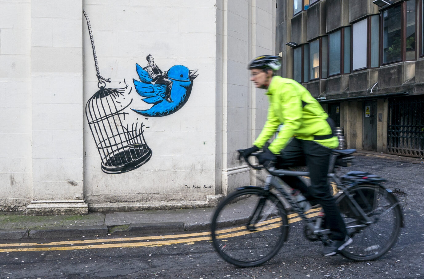 Graffiti-Motiv vom „Rebel Bear“ im schottischen Edinburgh: Unangepaßter als Sprayerstar Banksy Foto: picture alliance / empics | Jane Barlow
