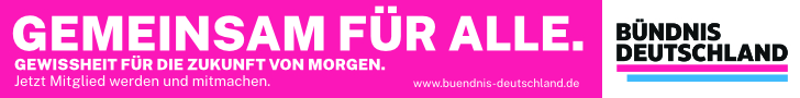 Bündnis Deutschland, Partei Bündnis Deutschland