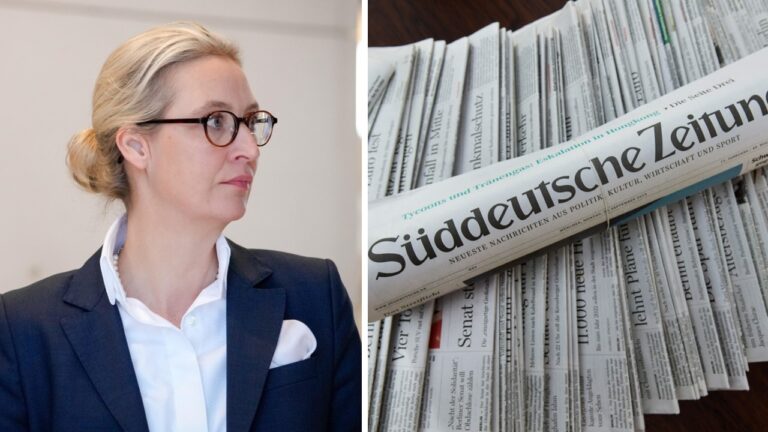 Plagiate? Die Süddeutsche Zeitung behauptet, AfD-Chefin Alice Weidel habe bei ihrer Doktorarbeit abgeschrieben. Doch das sieht ein Abgeschriebener anders.
