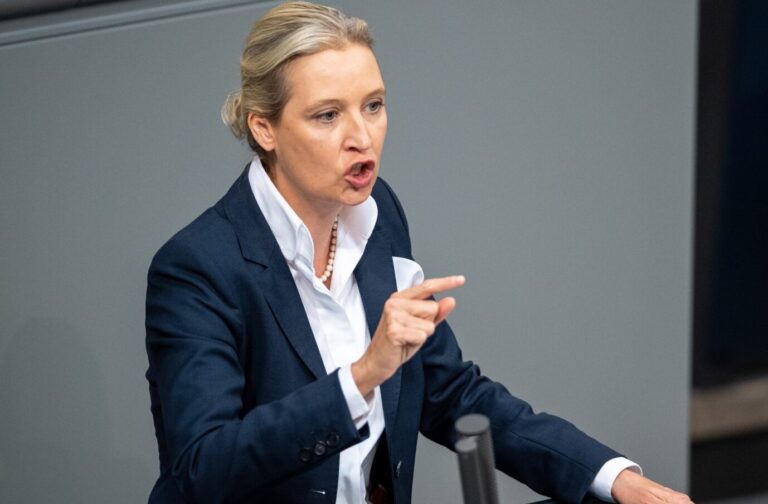 Die CSU fürchtet, die AfD von Alice Weidel könnte stärkste Partei werden, wenn es nicht bald Neuwahlen gebe.