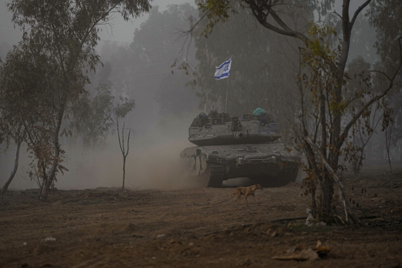 Kämpfe Im Gazastreifen: Kommt Jetzt Der Große Krieg?