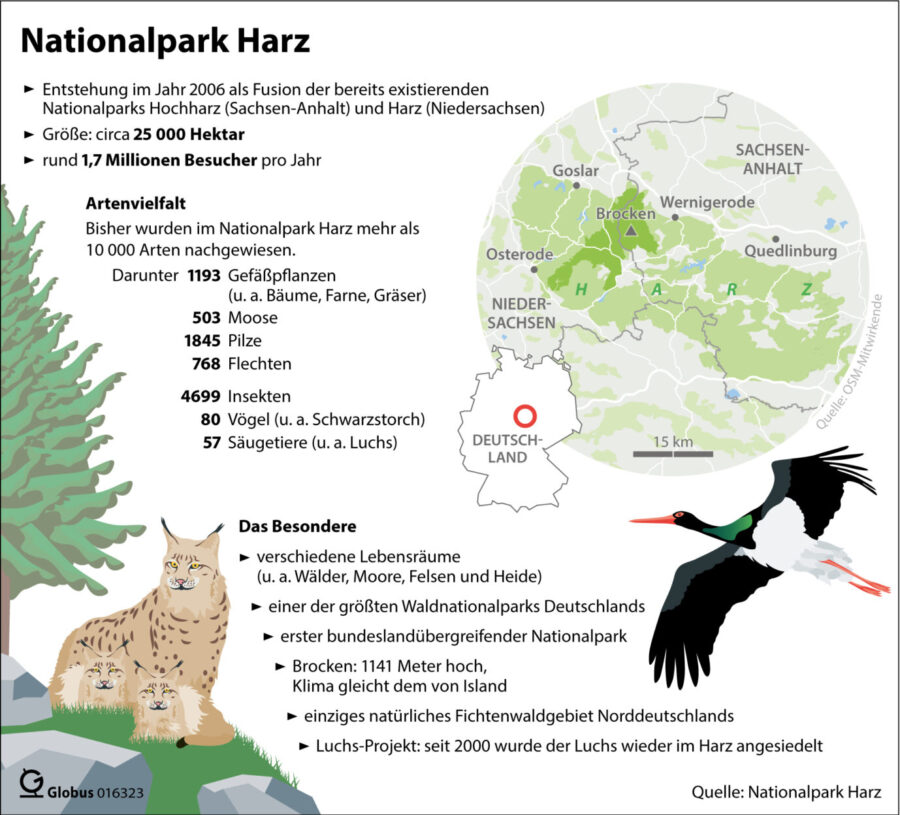 Der Nationalpark Harz in Zahlen Grafik: picture alliance/dpa/dpa-infografik GmbH | dpa-infografik GmbH