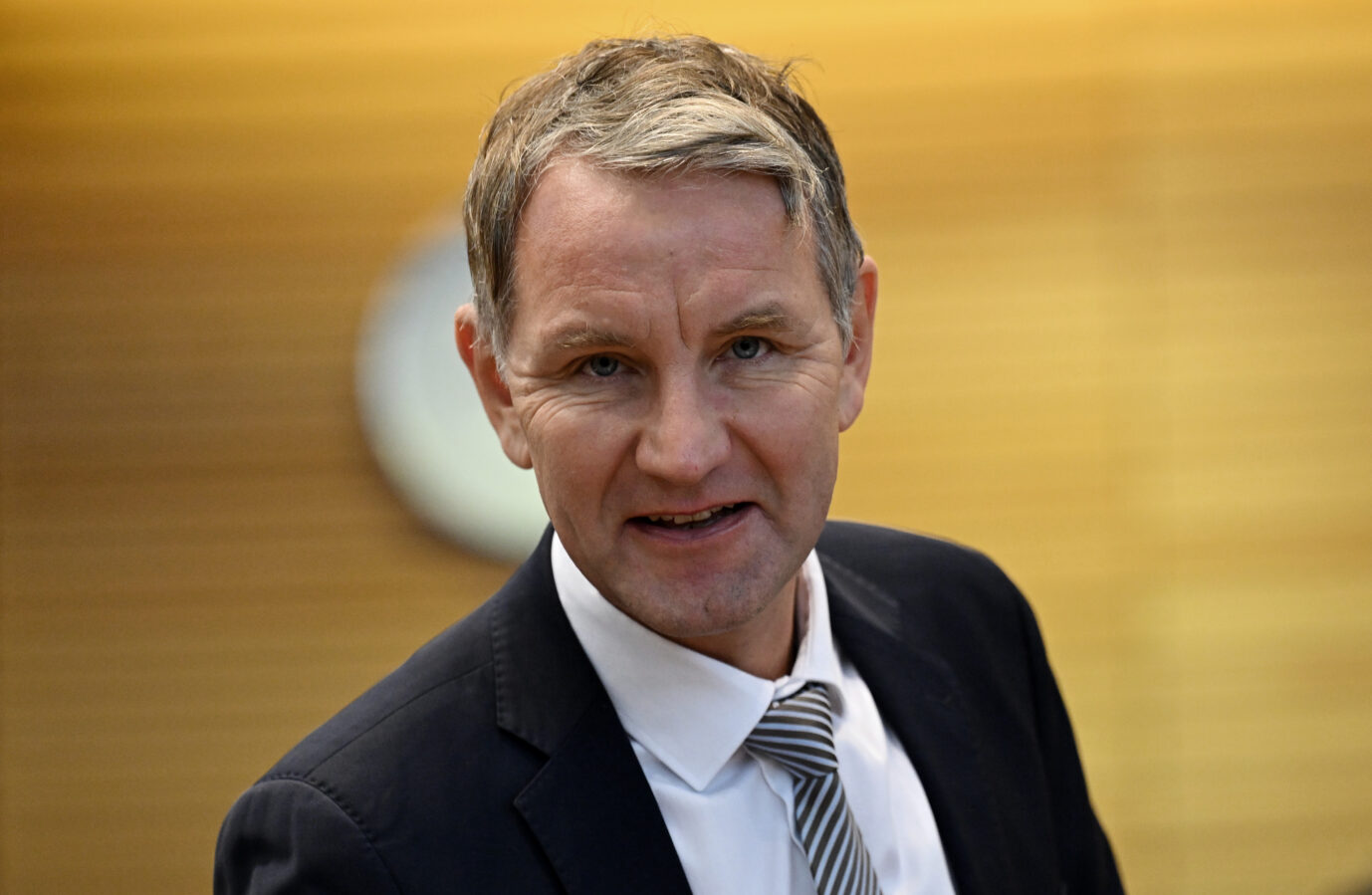 Laut einer Petition soll der Thüringer AfD-Chef Björn Höcke seine bürgerlichen Grundrechte verlieren. Der Bundestag entscheidet.