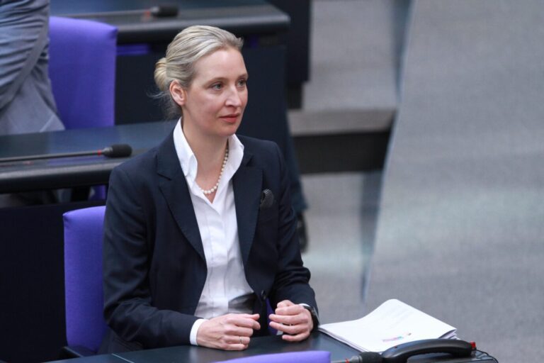 Von Plagiatsvorwürfen entlastet: AfD-Chefin Alice Weidel.