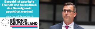 Lars Patrick Berg, Bündnis Deutschland