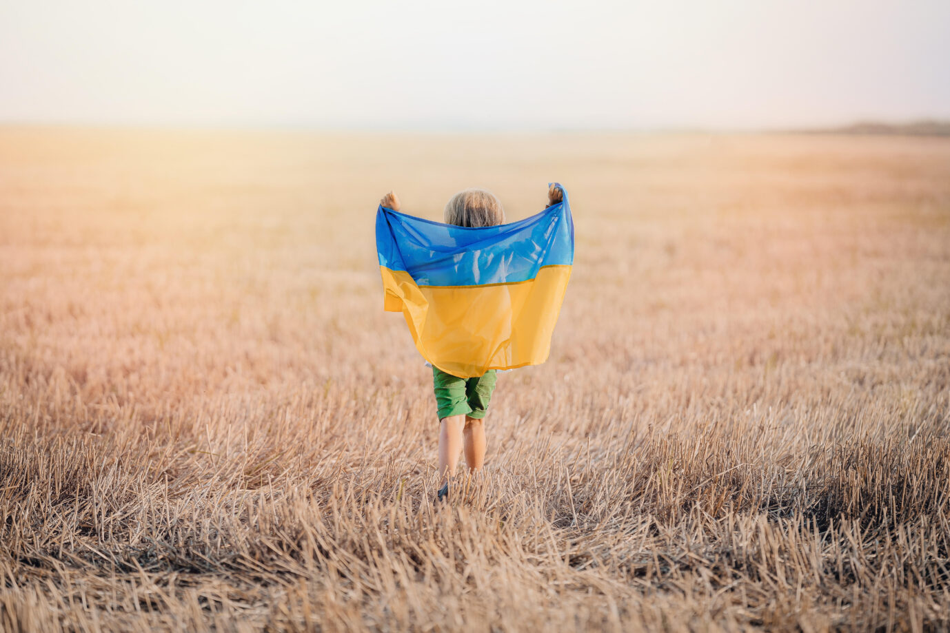 Ein Kind in einem Weizenfeld in der Ukraine: Der Krieg hat globale wirtschaftliche Auswirkungen.