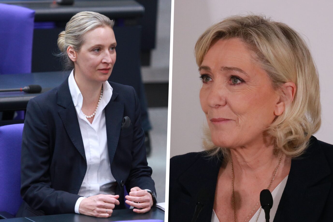 AfD-Chefin Alice Weidel (links) und die RN-Vorsitzende Marine Le Pen: Streit um Begriff „Remigration“.