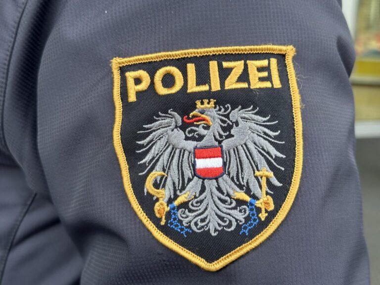 Das Emblem der österreichischen Polizei auf einer Uniform. Nach dem gewaltsamen Tod von drei Frauen in einem Bordell in Wien sind der Hergang und das Motiv für die Tat weiter unklar.