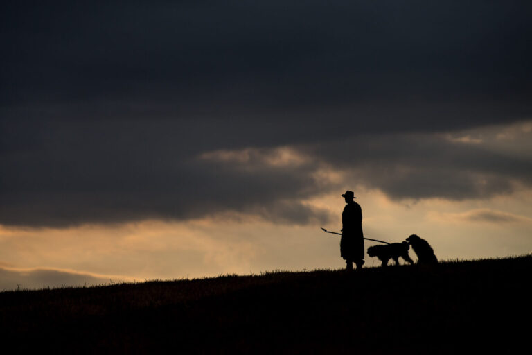 Ein Schäfer steht mit seinen Hirtehunden in einer Landschaft in Abenddämmerung. Symbolisch lässt sich dieses Bild mit den Opfergängen des Gesinnungsstaats verknüpfen. Wolf und Schaf spielten auch im Fall Loretta eine Rolle.