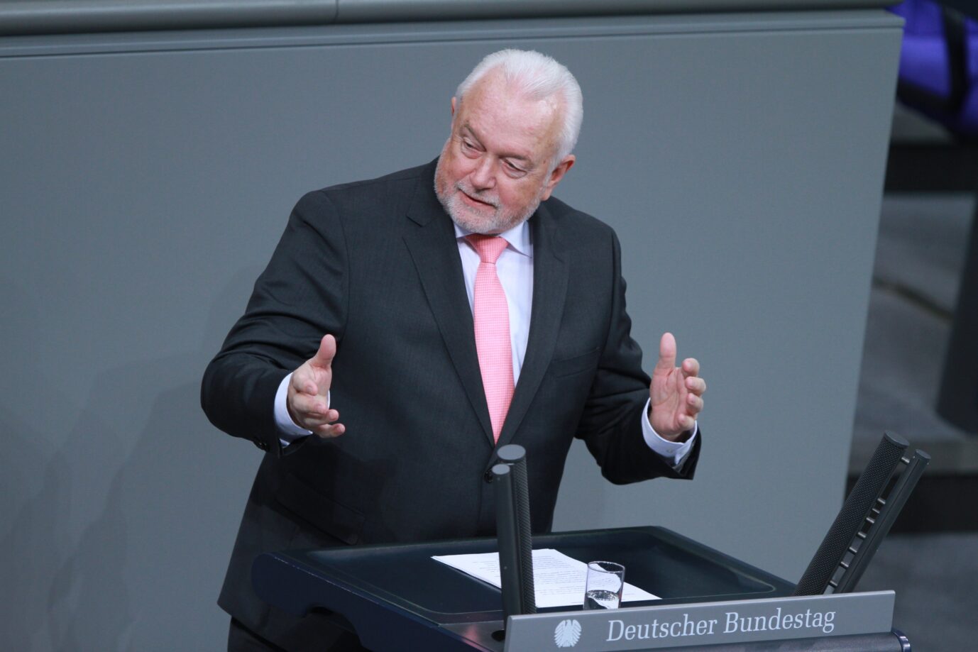 22.03.2024, Deutscher Bundestag, 161. Bundestagssitzung: Wolfgang Kubicki, FDP, hält eine Rede. Nun kritisiert er HAldenwang