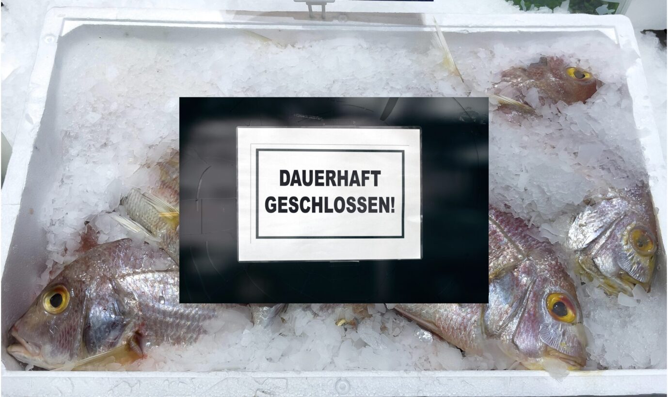 Fische liegen in einer Eistruhe, ein Schild informiert darüber, daß ein Geschäft dauerhaft geschlossen ist
