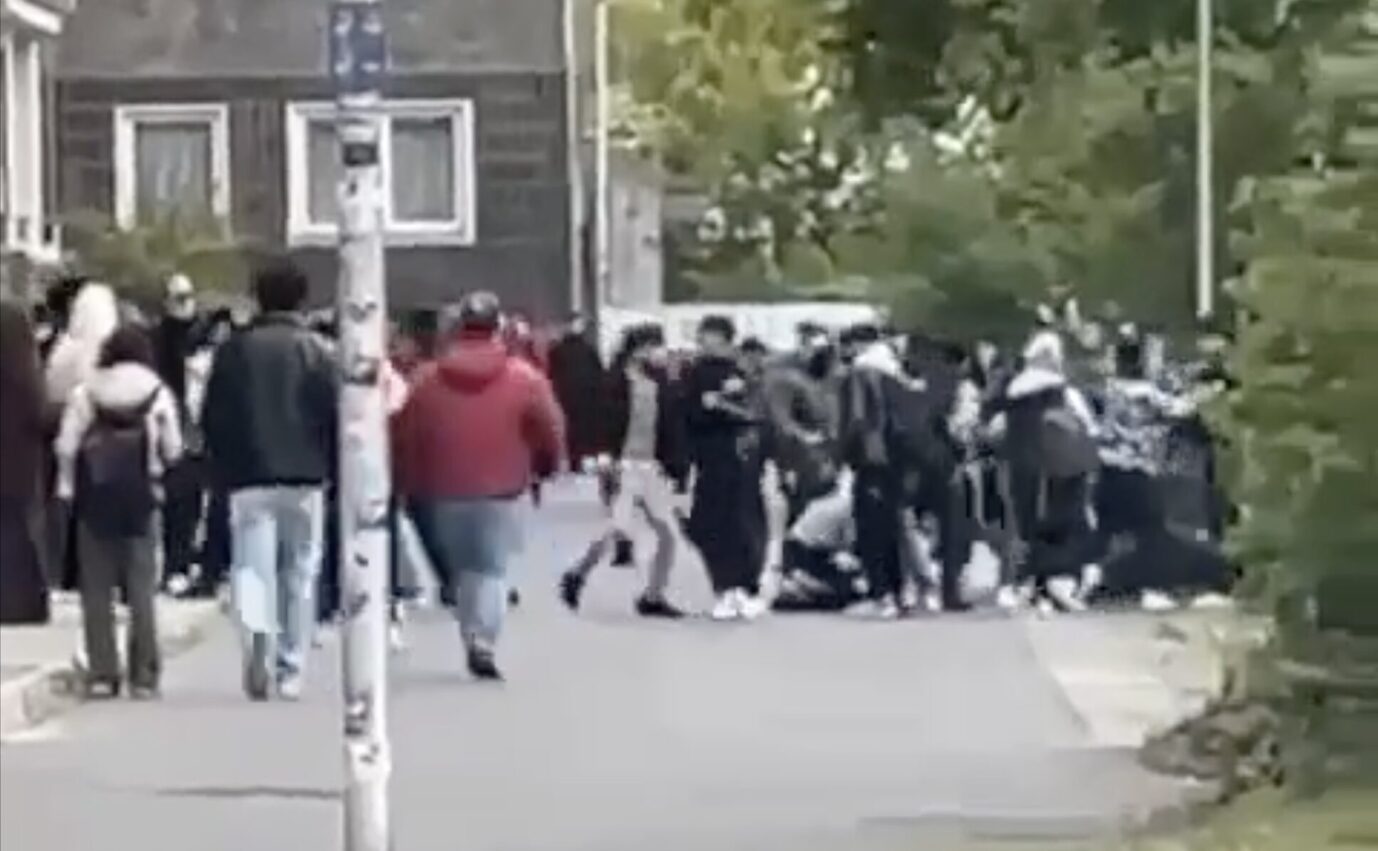 Brandenburg: Brandenburg Mehrere Verletzte: Migrantengewalt an Cottbuser Oberschule eskaliert